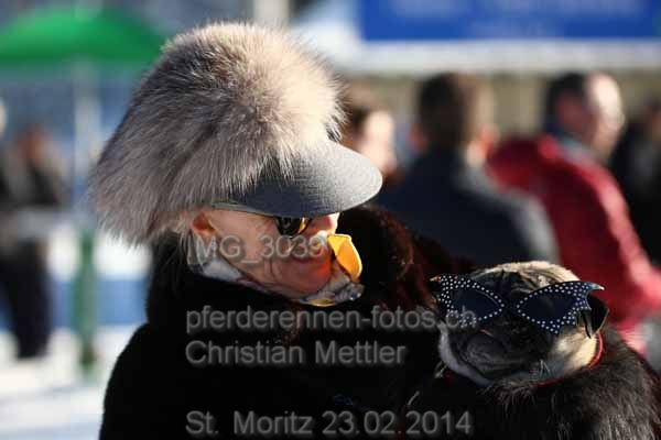 IMG 3039 prot